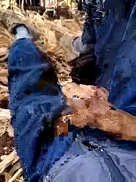 Snapshot of murokkk31 chatting on December 4, 2025, 8:35 am murokkk31 online show from December 4, 2025, 8:35 am