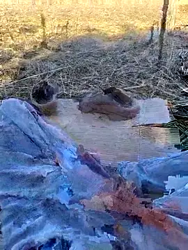 Snapshot of murokkk31 chatting on November 2, 2025, 10:53 am murokkk31 online show from November 2, 2025, 10:53 am