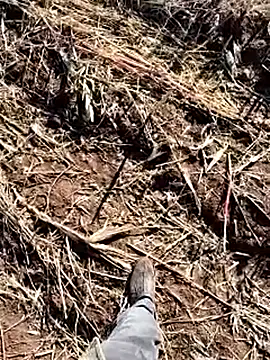 Snapshot of murokkk31 chatting on December 14, 2025, 8:42 am murokkk31 online show from December 14, 2025, 8:42 am