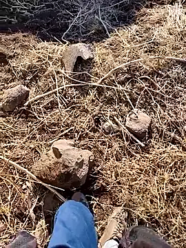 Snapshot of murokkk31 chatting on December 3, 2025, 6:25 am murokkk31 online show from December 3, 2025, 6:25 am