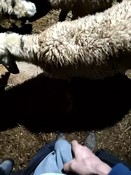 murokkk31 online show from January 9, 2026, 11:33 pm