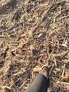 Snapshot of murokkk31 chatting on September 30, 2025, 1:50 pm murokkk31 online show from September 30, 2025, 1:50 pm