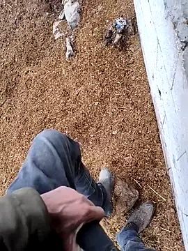 Snapshot of murokkk31 chatting on November 15, 2025, 12:42 pm murokkk31 online show from November 15, 2025, 12:42 pm