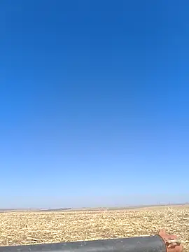 Snapshot of murokkk31 chatting on October 18, 2025, 8:16 am murokkk31 online show from October 18, 2025, 8:16 am