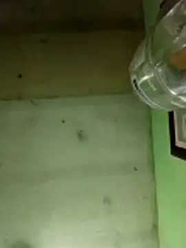 Snapshot of Alonsomadeira chatting on December 17, 2025, 6:07 am Alonsomadeira online show from December 17, 2025, 6:07 am