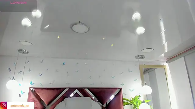  Antonnela  online show from February 8, 2026, 2:37 pm