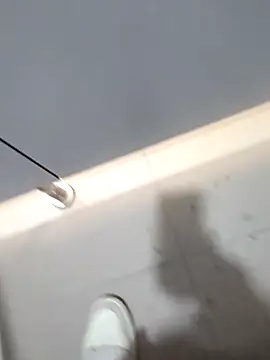 Snapshot of publicsir chatting on November 19, 2025, 3:45 pm publicsir online show from November 19, 2025, 3:45 pm