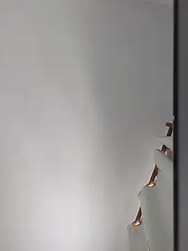 Snapshot of publicsir chatting on November 14, 2025, 4:10 pm publicsir online show from November 14, 2025, 4:10 pm