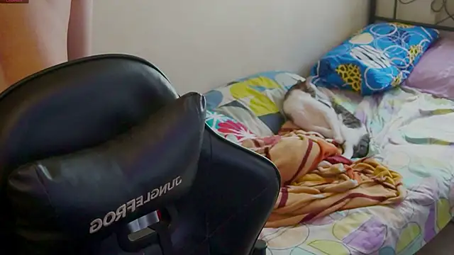 xofix online show from September 20, 2025, 8:03 pm