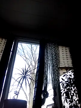 Snapshot of otterlover123 chatting on December 5, 2024, 7:00 pm otterlover123 online show from December 5, 2024, 7:00 pm