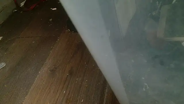 Snapshot of Gigadickman chatting on February 27, 2025, 4:35 am Gigadickman online show from February 27, 2025, 4:35 am