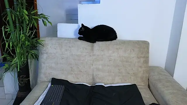 Lorenne Miller online show from April 22, 2026, 3:57 am