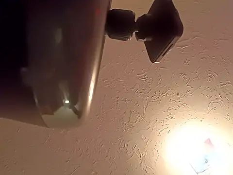 sissytrapdolly24 online show from March 25, 2026, 10:19 pm