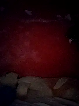 Snapshot of VL25DN26 chatting on October 30, 2025, 9:29 am VL25DN26 online show from October 30, 2025, 9:29 am