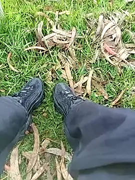 Snapshot of Cuervo_maniaco chatting on November 14, 2025, 5:16 pm Cuervo maniaco online show from November 14, 2025, 5:16 pm