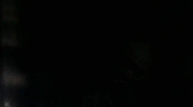 RenziTatte online show from March 22, 2025, 2:27 am