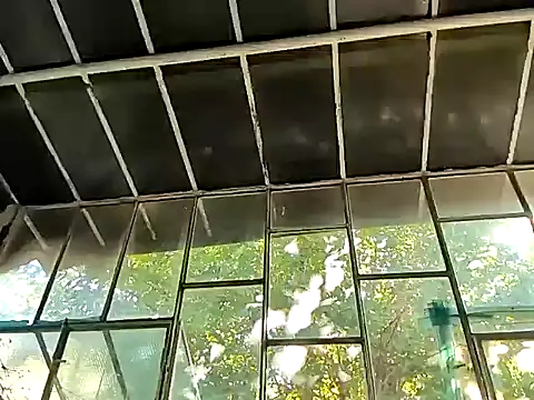 Milky hairy mommy online show from September 15, 2025, 1:00 pm