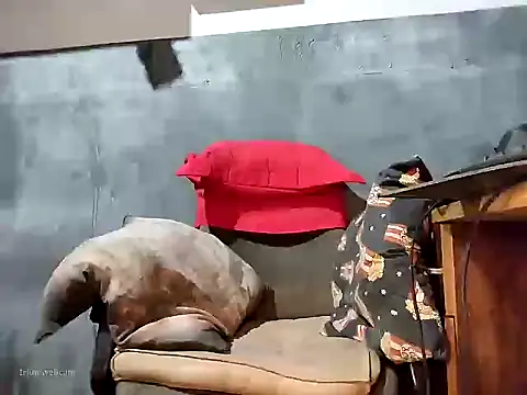 Snapshot of bumbumtatuado chatting on January 13, 2026, 2:26 am bumbumtatuado online show from January 13, 2026, 2:26 am