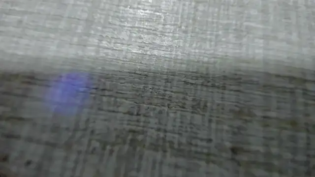 AishaRouhi online show from March 25, 2026, 4:34 am