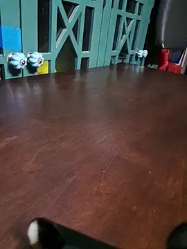 Snapshot of bigdickdaddy2184 chatting on December 16, 2025, 9:35 am bigdickdaddy2184 online show from December 16, 2025, 9:35 am