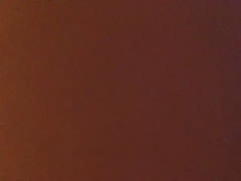 Snapshot of loveofbea chatting on January 2, 2025, 12:34 am loveofbea online show from January 2, 2025, 12:34 am