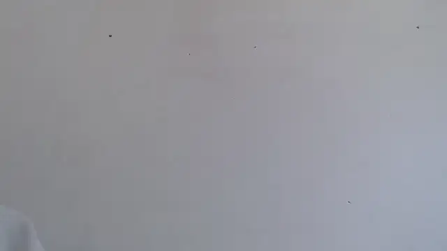 Snapshot of Niurca01_ chatting on October 16, 2025, 4:48 pm Niurca01 online show from October 16, 2025, 4:48 pm