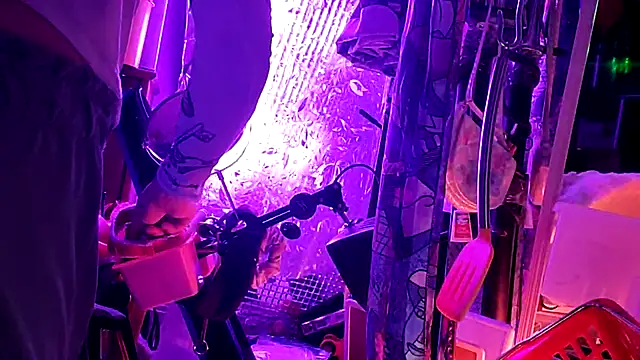 gurlnips online show from March 11, 2026, 12:04 am