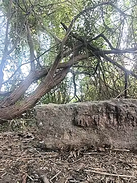 Telugubigcock57 online show from January 18, 2026, 10:29 am