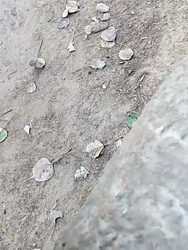 MAN MOHINI 21 online show from February 22, 2026, 9:44 am