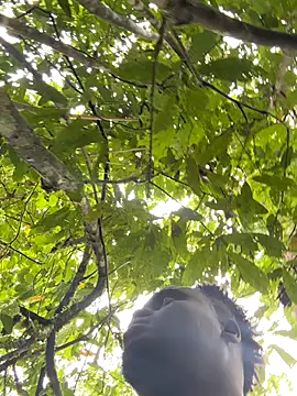 Andricastro online show from November 10, 2025, 1:49 pm