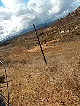 luke thighwalker2469 online show from February 6, 2025, 9:28 pm