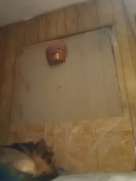 luke thighwalker2469 online show from February 15, 2025, 1:16 pm