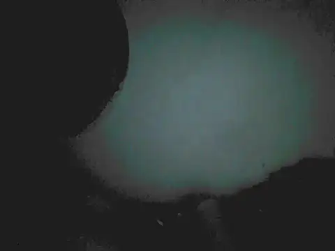 18cm2hrcarlos online show from March 25, 2026, 4:12 am