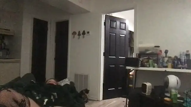 SpunCandy online show from March 10, 2026, 4:05 am