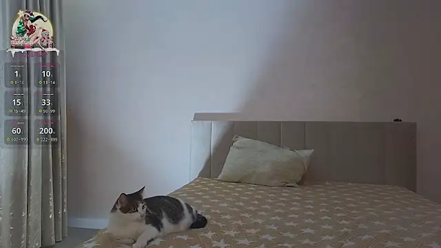 Snapshot of Sandrikta chatting on February 3, 2025, 7:42 pm Sandrikta online show from February 3, 2025, 7:42 pm