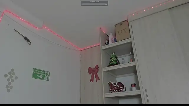  diegsz  online show from January 10, 2025, 9:55 am