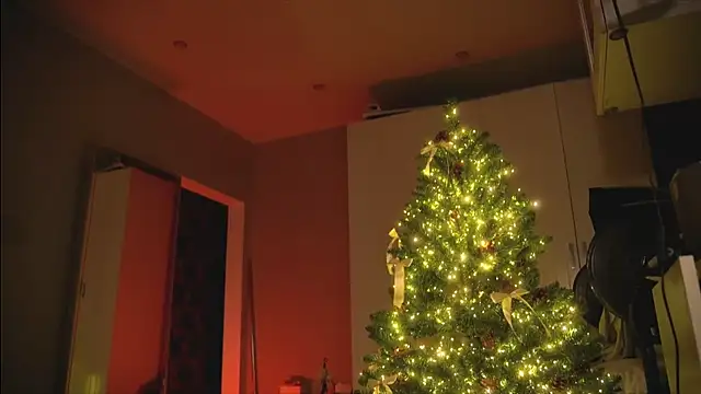 Snapshot of Arianna_Richi chatting on December 30, 2024, 8:54 am Arianna Richi online show from December 30, 2024, 8:54 am