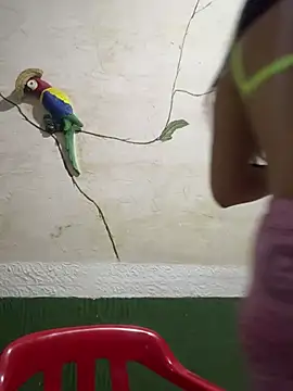 Snapshot of Karla-sexy01 chatting on January 4, 2025, 3:07 am Karla-sexy01 online show from January 4, 2025, 3:07 am