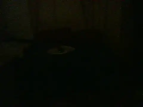 Snapshot of dangerman94 chatting on September 10, 2025, 3:27 am dangerman94 online show from September 10, 2025, 3:27 am