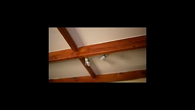 Snapshot of Bellis_Perenis chatting on February 26, 2026, 9:31 am Bellis Perenis online show from February 26, 2026, 9:31 am