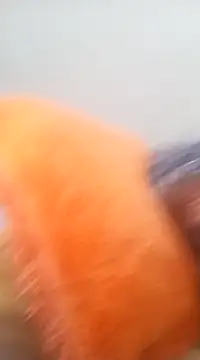 NICJOHNS online show from February 2, 2025, 8:02 am