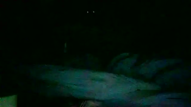 DI4MOND FIR3 online show from November 27, 2025, 12:27 pm