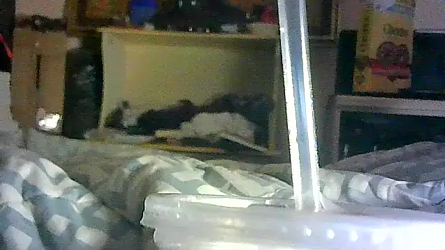 DI4MOND FIR3 online show from April 17, 2026, 2:53 pm