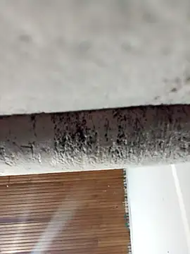 dulce celeste15 online show from March 31, 2026, 1:40 am