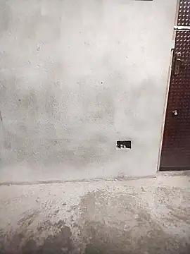 Priya-bhabi012 online show from February 25, 2026, 7:30 am