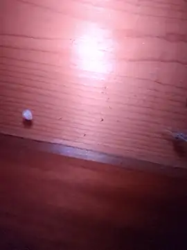 brbrrbrbrb online show from February 24, 2026, 2:51 pm