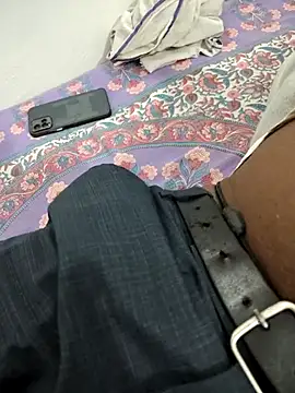 Snapshot of FeltedEuropium chatting on February 10, 2026, 9:41 am FeltedEuropium online show from February 10, 2026, 9:41 am