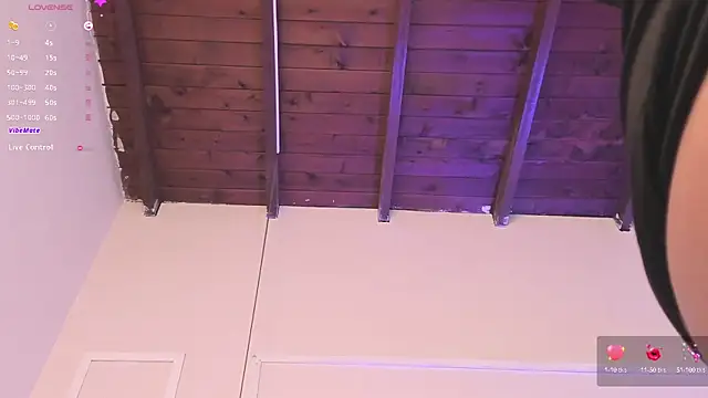 Snapshot of sherylgrey chatting on March 10, 2025, 1:01 am sherylgrey online show from March 10, 2025, 1:01 am