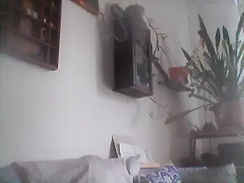 Snapshot of Bigpenis6y chatting on December 29, 2024, 1:17 pm Bigpenis6y online show from December 29, 2024, 1:17 pm