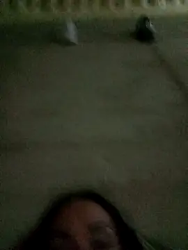 Snapshot of Ariatrans chatting on September 25, 2025, 11:11 pm Ariatrans online show from September 25, 2025, 11:11 pm